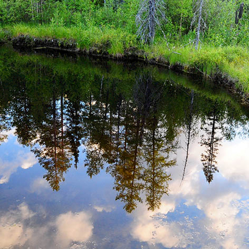 Учёные выяснили, как на Ямале за месяц исчезло целое озеро