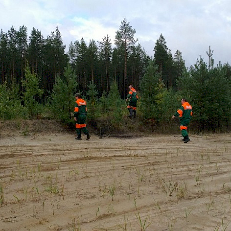 Спасатели вывели из леса двух заблудившихся жительниц Ноябрьска
