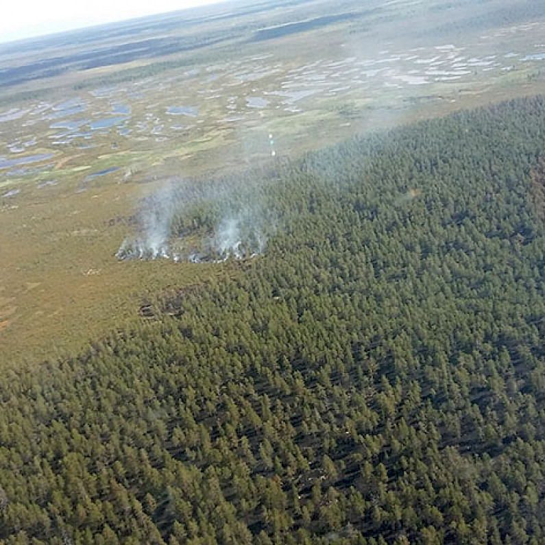 Спасатели в Ноябрьске начали авиапатрулирование лесов из-за угрозы пожаров 