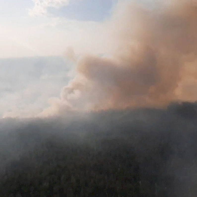 Больше тысячи гектаров леса на Ямале пострадало из-за природных пожаров