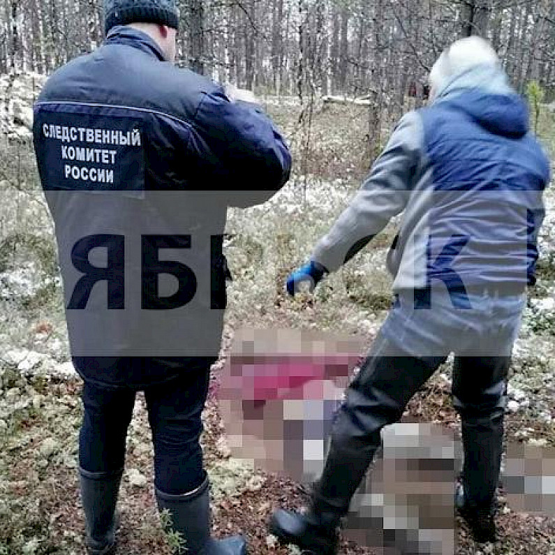 Эксперты установили личность мужчины, чьи останки обнаружены в лесу в Ноябрьске