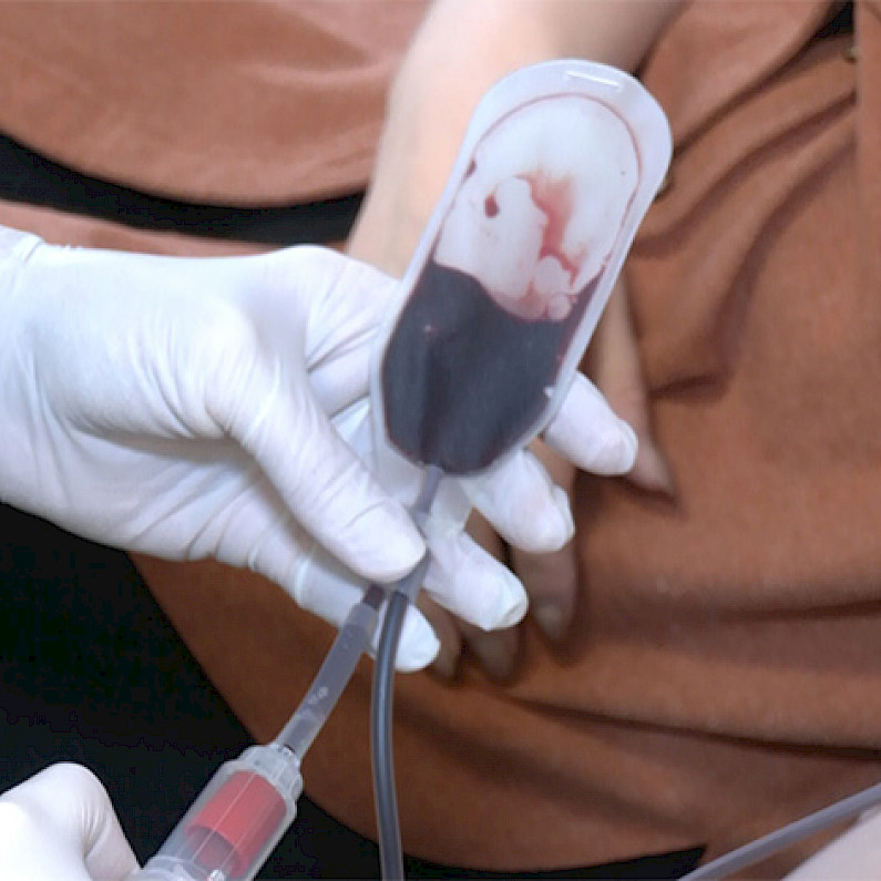  Медики Ноябрьска рассказали, как долго вакцинированным донорам нельзя сдавать кровь 