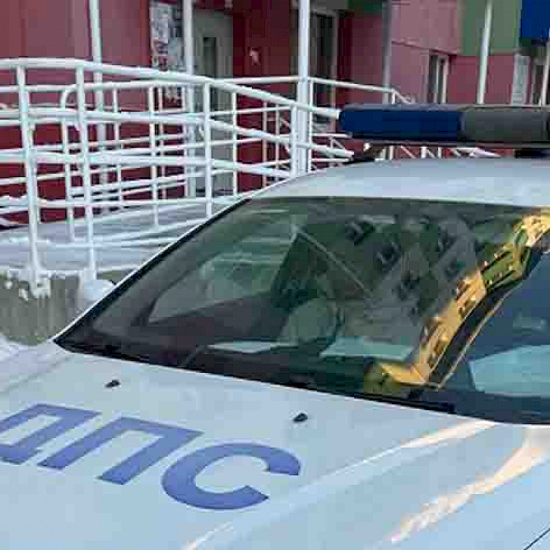 Полицейские оштрафовали автомобилиста из Ноябрьска за фотосессию у ёлки. ФОТО