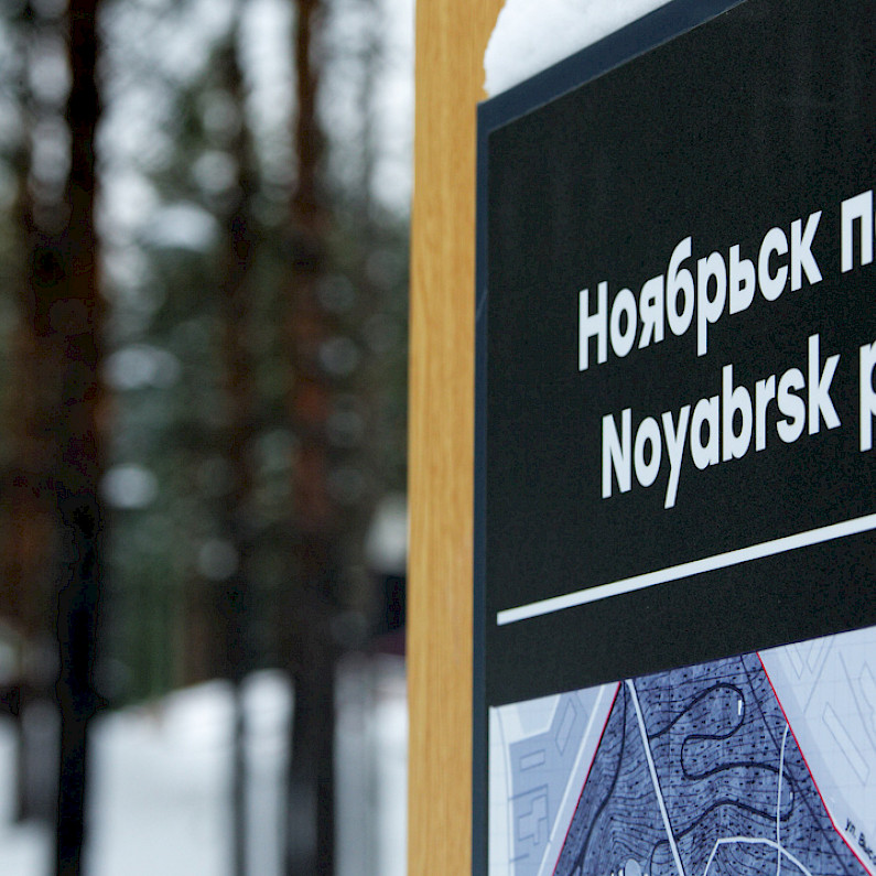 В Ноябрьск-парке могут появиться лавки в виде мамонтов, а в Вынгапуровском – качели 
