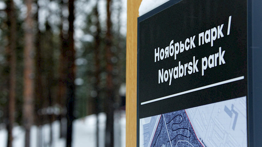 В Ноябрьск-парке могут появиться лавки в виде мамонтов, а в Вынгапуровском – качели 