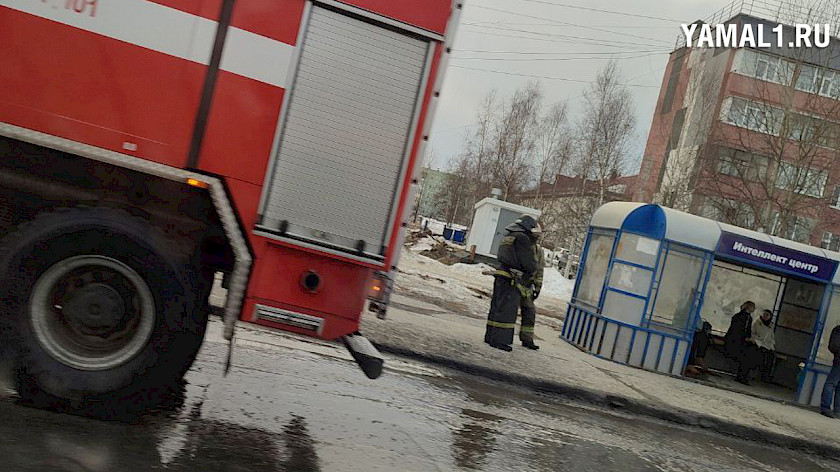 Мужчину с пятилетним ребенком на руках сбила машина в Ноябрьске 