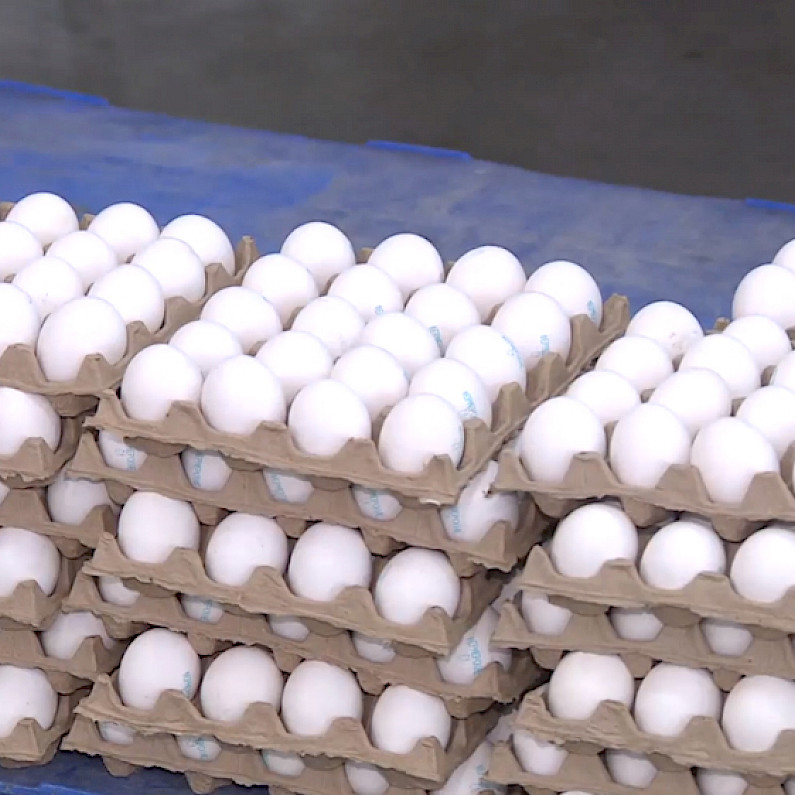 Нутрициолог из Ноябрьска Олег Тетченко рассказал о полезных свойствах яиц