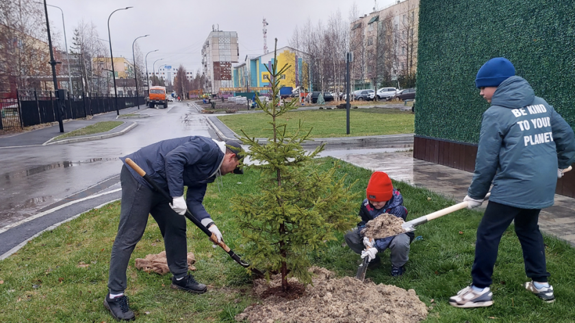 Более 100 деревьев и кустарников посадили  у ЯмалЭкоДома в Ноябрьске. ФОТО