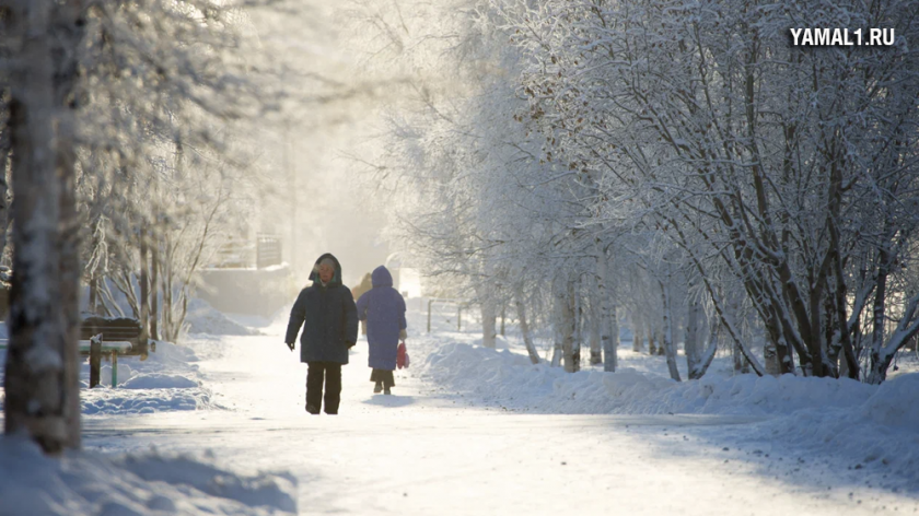 Мэрия Ноябрьска обратилась к жителям из-за грядущих сильных морозов