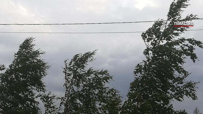 В Надымском и Пуровском районах ожидается ураганный ветер 